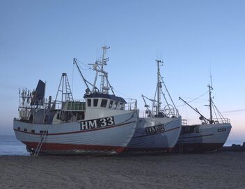 Au nom de la mer, vers une pêche durable ?