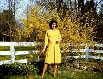 Dian Fossey, la femme-gorille