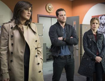 New York Unité Spéciale