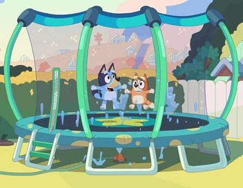 Bluey