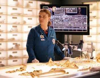 Bones
