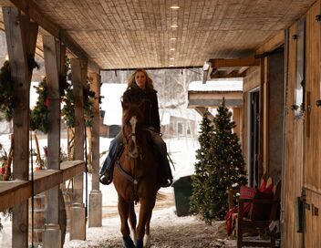 Noël sous les flocons