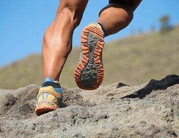 Trail : Ultra-Trail du Mont-Blanc