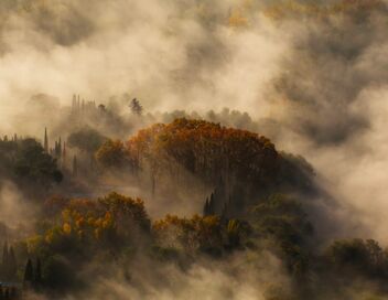 Fabuleuse Provence