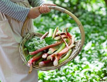 La cueillette alimentaire urbaine