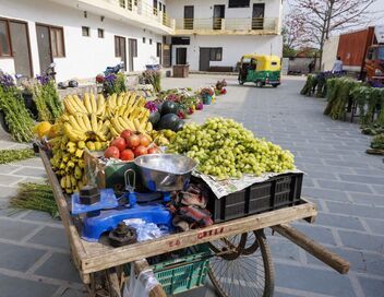 Pékin express : L'épopée des maharadjas