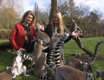 100 jours avec les animaux de Cerza, le plus grand zoo de Normandie