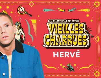 Hervé en concert aux Vieilles Charrues 2024