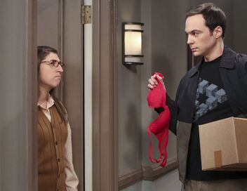 The Big Bang Theory