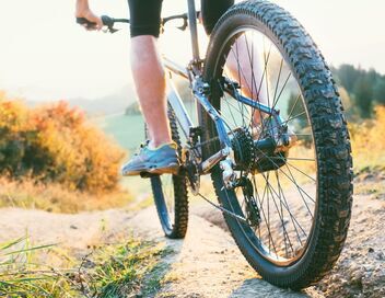 VTT : Championnats du monde