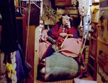 La tribu et le gourou : Gaïaland