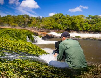 Les superpouvoirs des plantes