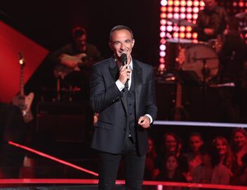 The Voice, la plus belle voix
