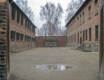 Les expérimentations médicales à Auschwitz : Clauberg et les femmes du bloc 10