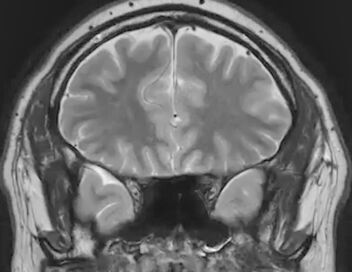 Press Enter to Finish the Day