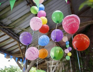 L'amour est dans le pré : Que sont-ils devenus ?