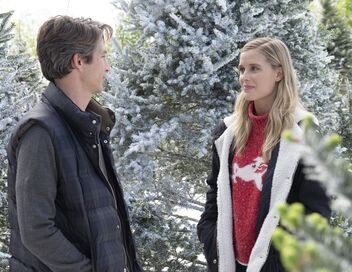 Le diplôme de Noël