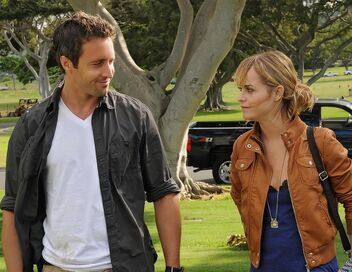 Hawaii 5-0