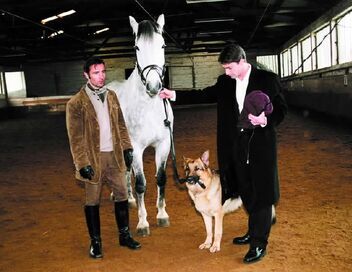 Rex, chien flic
