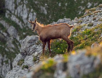 Au coeur des Préalpes autrichiennes : Le massif Mort