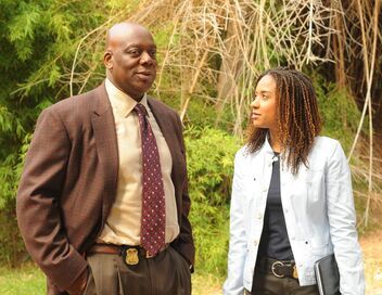 Cold Case : affaires classées