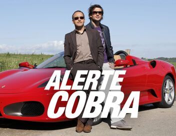 Alerte Cobra
