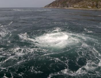 Le grand show de la nature