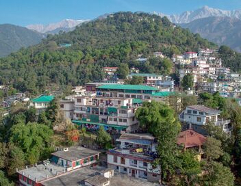La médecine tibétaine, l'art de guérir