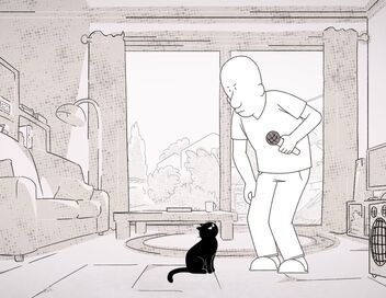 Putain de chat !