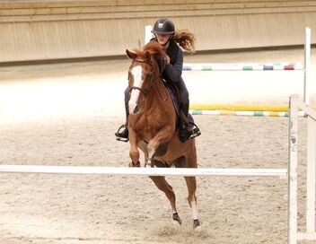 Au galop ! Une saison à cheval