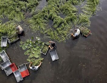 Europe sauvage, la part de l'homme