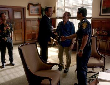 Hawaii 5-0