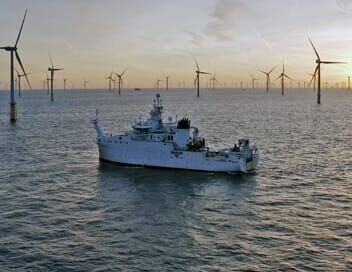 Les éoliennes en mer, quelle cohabitation avec la nature ?