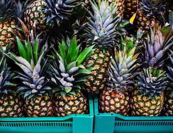 Au cœur des douanes : Espagne