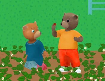 Petit Ours Brun