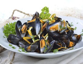 Norbert, commis d'office