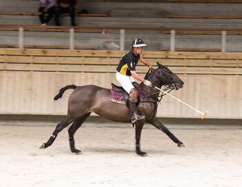 Au galop ! Une saison à cheval