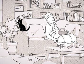 Putain de chat !