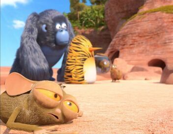 Les as de la jungle à la rescousse