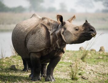 Une saison au zoo