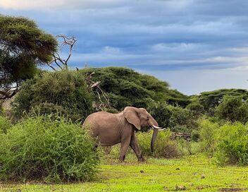 Les sommets d'Afrique