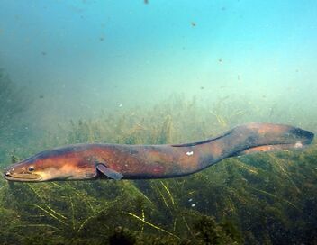 Un billet de train pour...