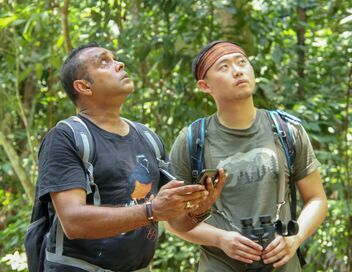 Singapour, quand les oiseaux chantent