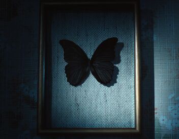 Les papillons noirs