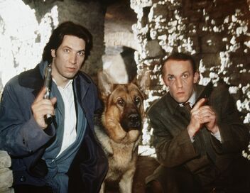 Rex, chien flic