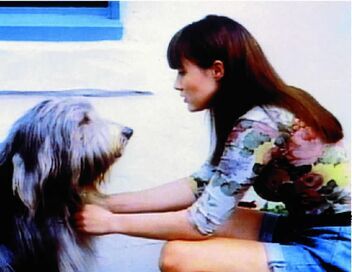 Beverly Hills, 90210