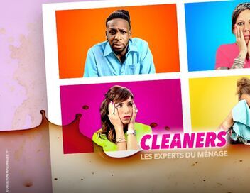 Cleaners les experts du ménage