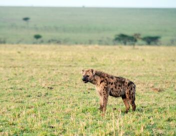 Kenya : au rythme des pluies