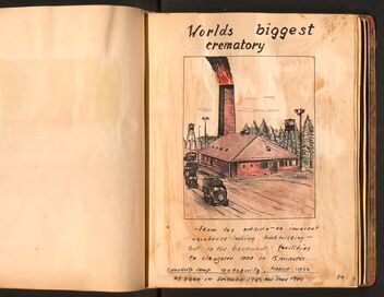 Auschwitz, des survivants racontent