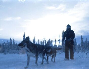 Seuls face à l'Alaska